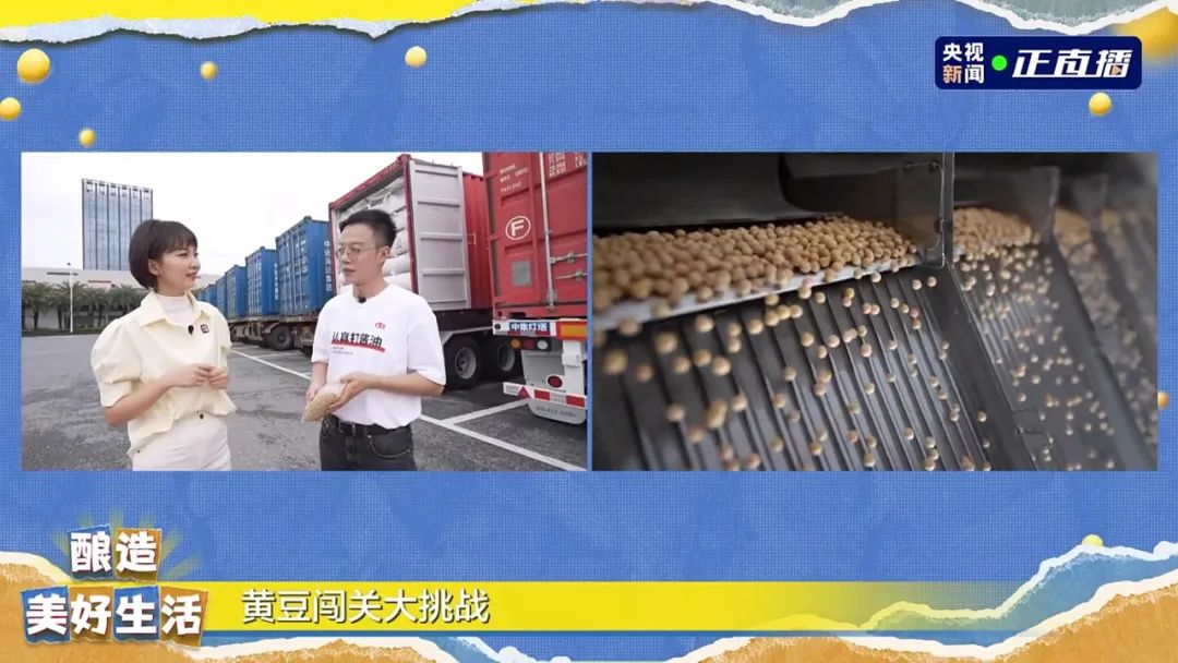 一颗黄豆变成kaiyun·开云(中国)官方入口，需要闯过多少关？